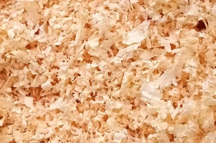 Опилки, стружка. Сосна- фото № 2