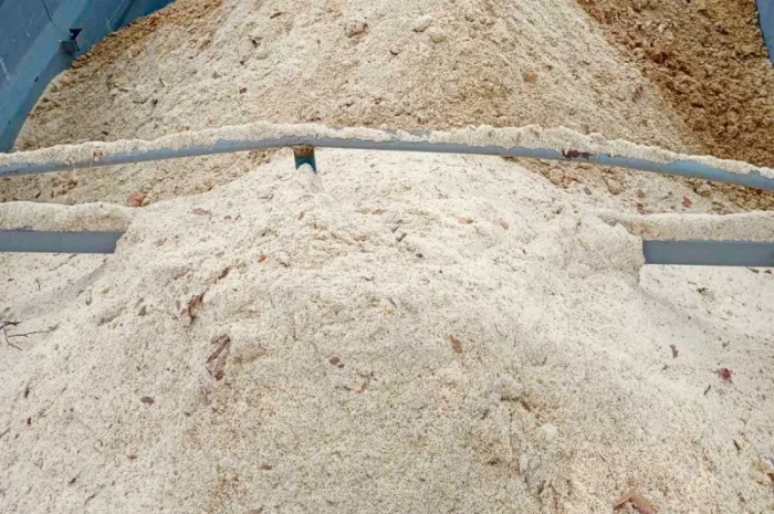 Опилки, стружка. Сосна- фото № 4