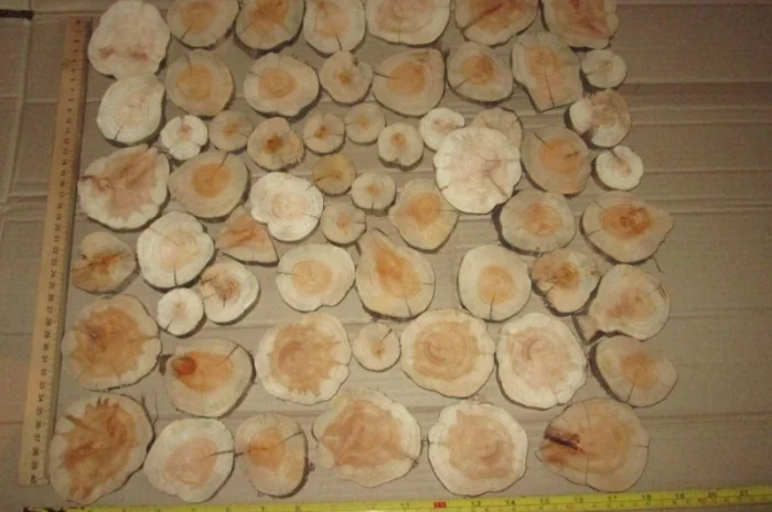 Круглый спил для пано можжевельник- фото № 10