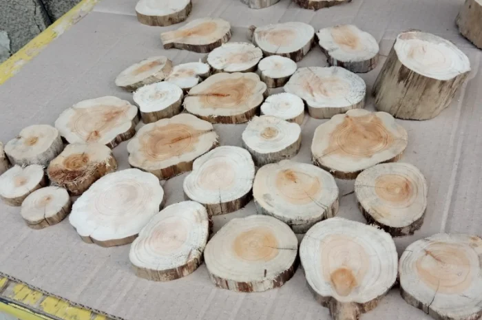 Круглый спил для пано можжевельник- фото № 7