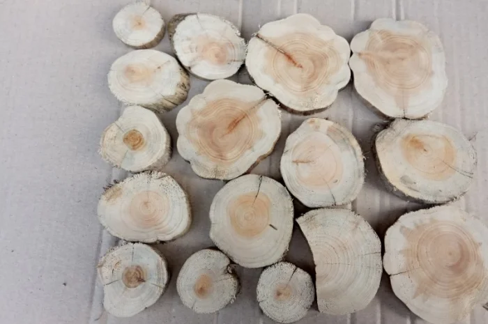 Круглый спил для пано можжевельник- фото № 5