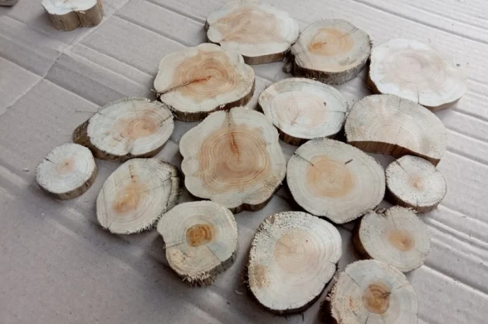 Круглый спил для пано можжевельник- фото № 3