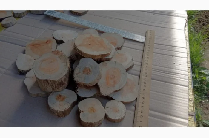 Круглый спил для пано можжевельник- фото № 18