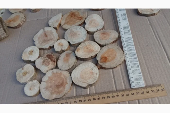 Круглый спил для пано можжевельник- фото № 16