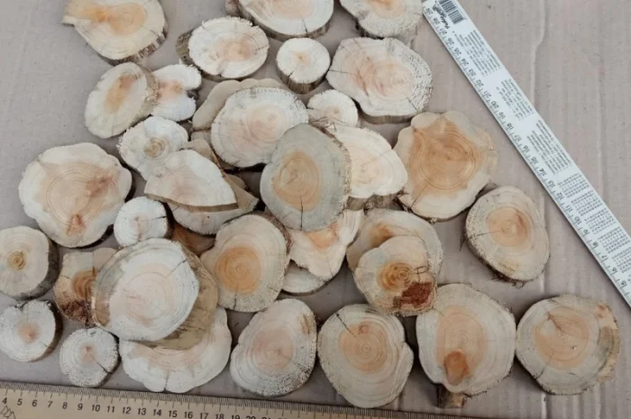 Круглый спил для пано можжевельник- фото № 15