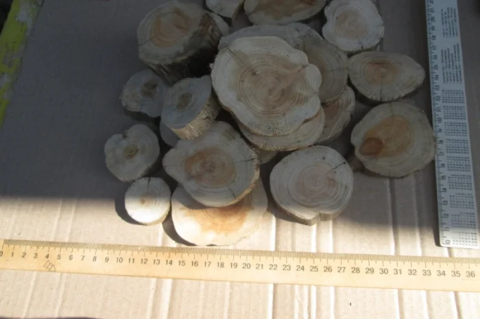 Круглый спил для пано можжевельник- фото № 14