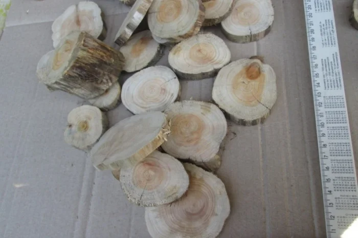 Круглый спил для пано можжевельник- фото № 12