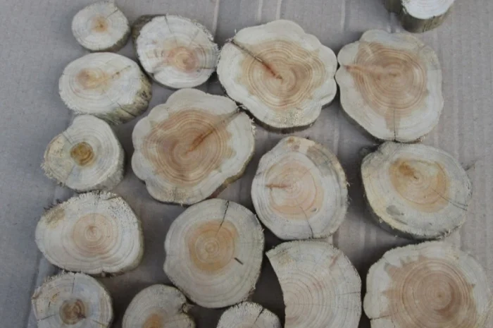 Круглый спил для пано можжевельник- фото № 11