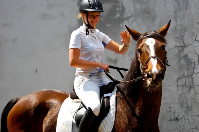 Школа верховой езды. Конные прогулки. Профи- фото № 1