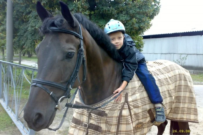 Школа верховой езды. Конные прогулки. Профи- фото № 3