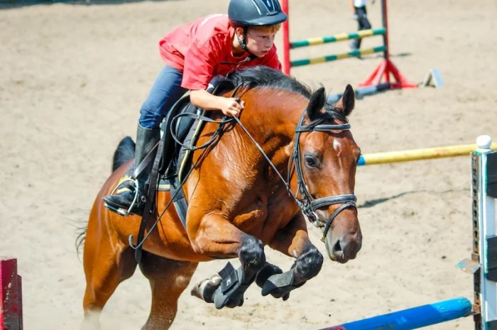 Школа верховой езды. Конные прогулки. Профи- фото № 4