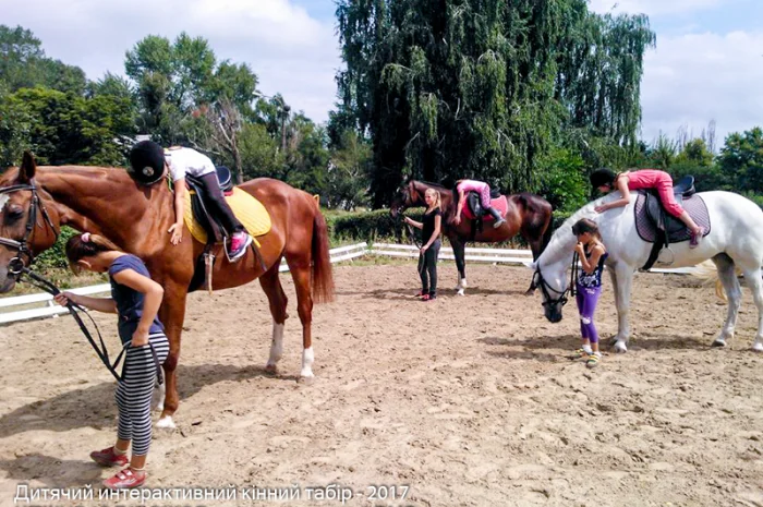 Школа верховой езды. Конные прогулки. Профи- фото № 8