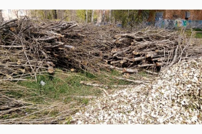Закупаем отходы древесины от 500 м куб- фото № 4