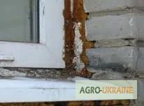 Откоси пластикових вікон ззовні в Києві- фото № 5