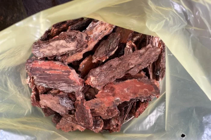 Продажа сортированной сосновой коры- фото № 1