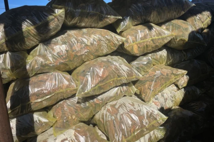 Продажа сортированной сосновой коры- фото № 2