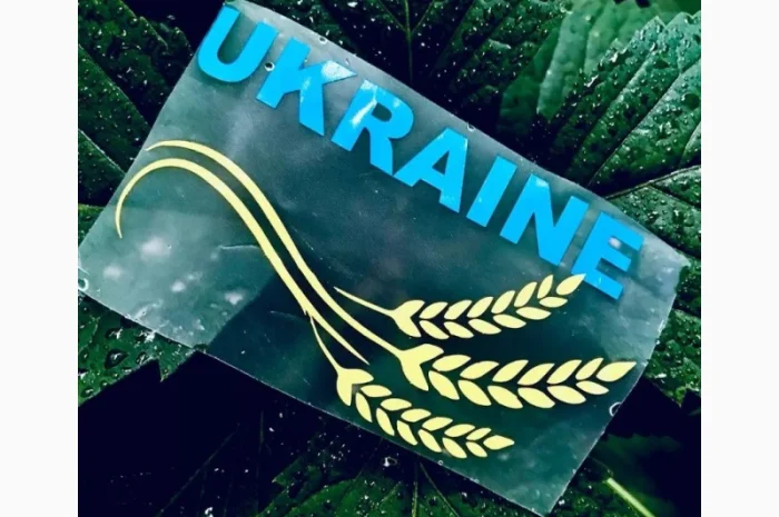Патріотичні наліпки на авто- фото № 4