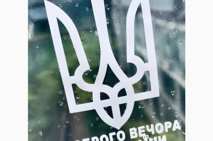 Патріотичні наліпки на авто- фото № 8