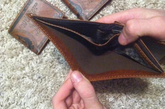 Гаманець з дизайном долара на продажу- фото № 6