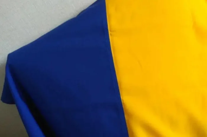 Прапор України – символ патріотизму- фото № 2