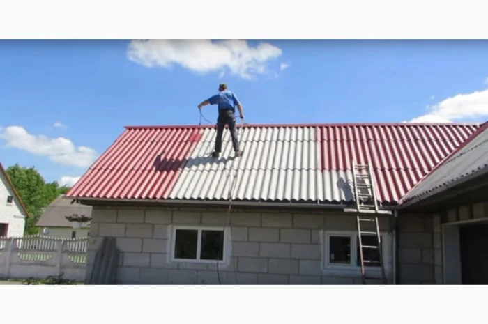 Покраска крыши в Черновцах и области- фото № 2