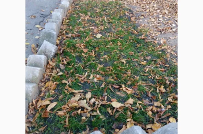 Газонная подложка- фото № 3