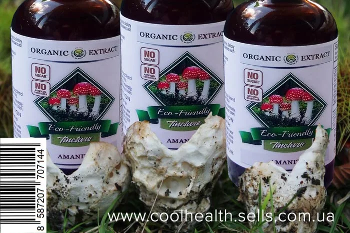 Мухомор Настойка- фото № 2