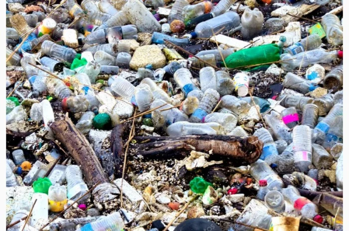 Закупівля битих пляшок для переробки- фото № 1