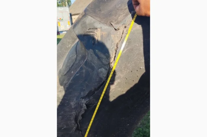 Как отремонтировать боковой порез шины: пошаговое руководство и советы- фото № 1