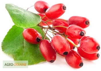 Пищевые ароматизаторы из Испании- фото № 2