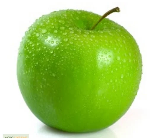 Пищевые ароматизаторы из Испании- фото № 3