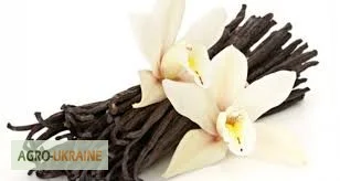 Пищевые ароматизаторы из Испании- фото № 5