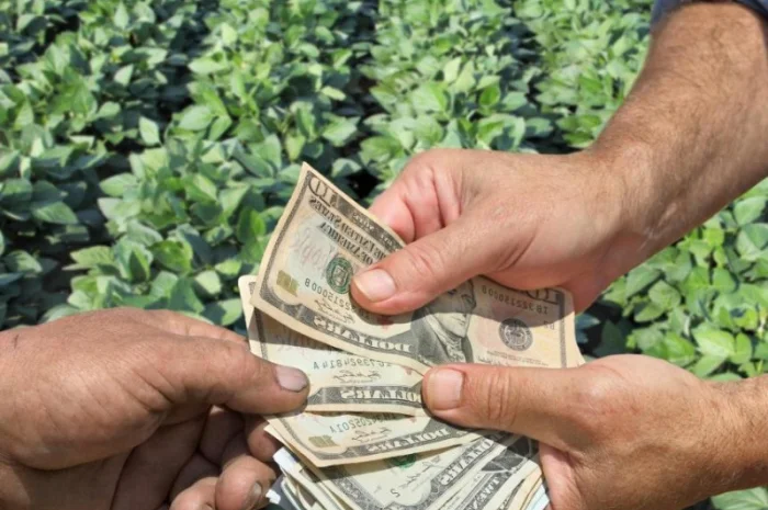 Кредит на выгодных условиях для ваших проектов- фото № 1