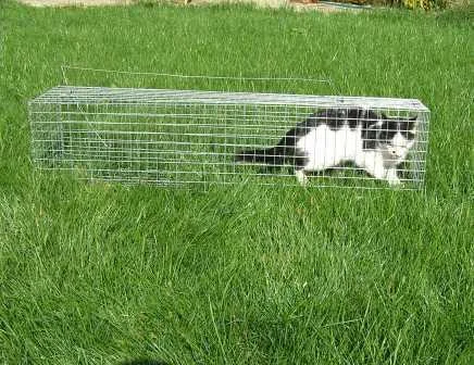 Клітка для безпечного відлову котів та собак- фото № 3