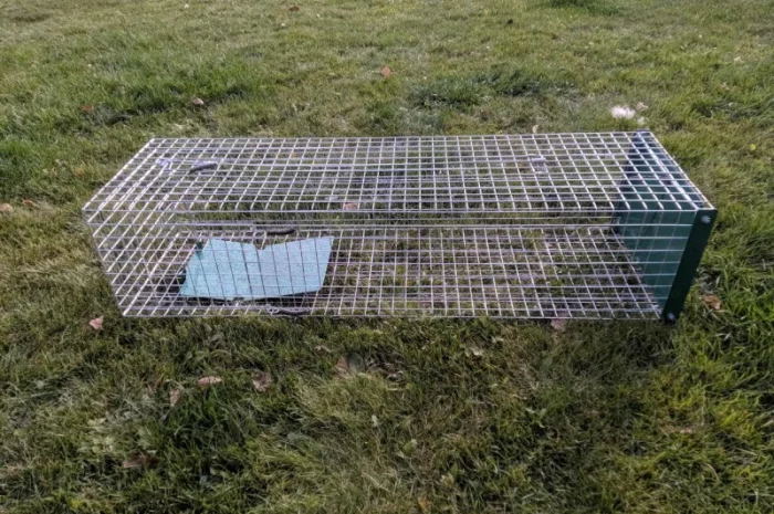 Метровая живоловушка. Котоловка с педалью. Котоловушка отлов котов 100%. Профессионально- фото № 2