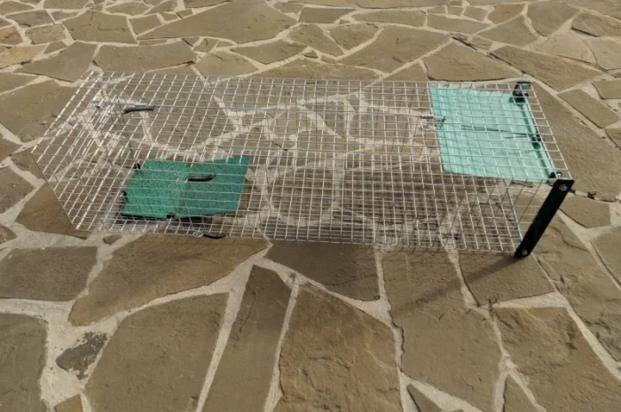 Метровая живоловушка. Котоловка с педалью. Котоловушка отлов котов 100%. Профессионально- фото № 3