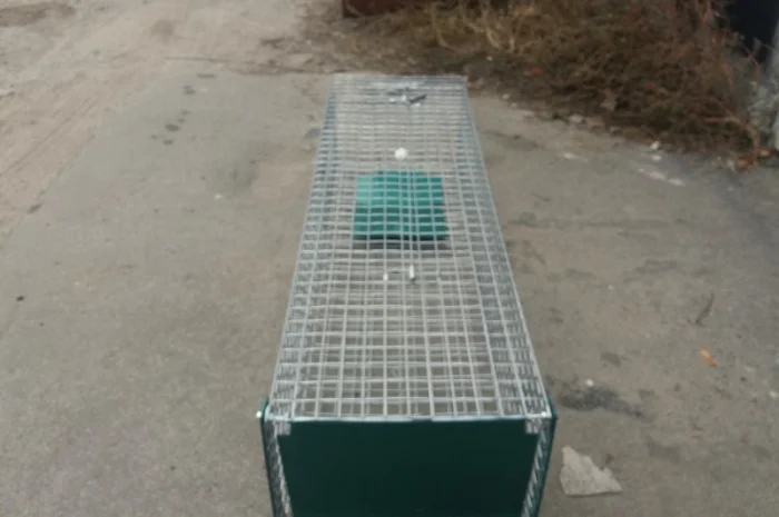 Метровая живоловушка. Котоловка с педалью. Котоловушка отлов котов 100%. Профессионально- фото № 4