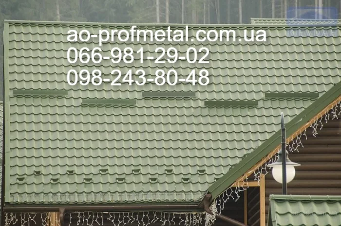 Снігозатримуюча дах- фото № 1