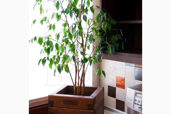 Ящик для цветов из натурального дерева- фото № 1