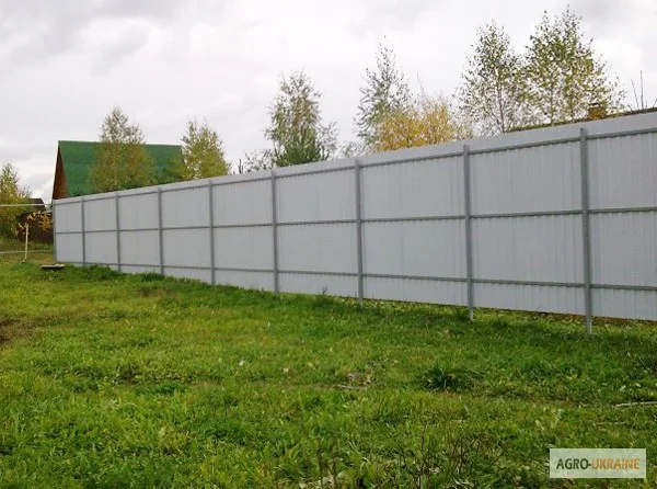 Забор из профнастила в Киеве- фото № 4