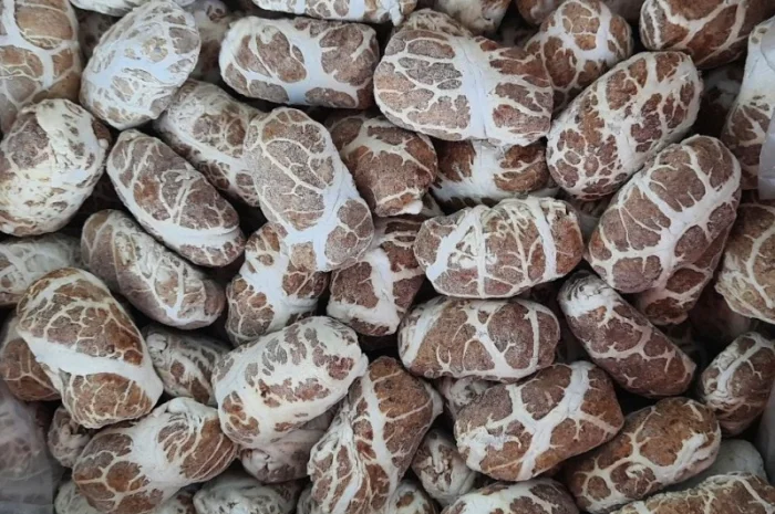 Полуфабрикати заморожені від виробника – Доставка по Києву- фото № 5