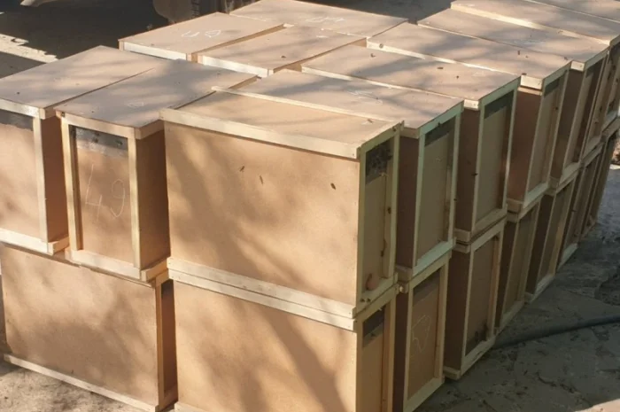 Продаются бджоломатки Карпатськой породи- фото № 4