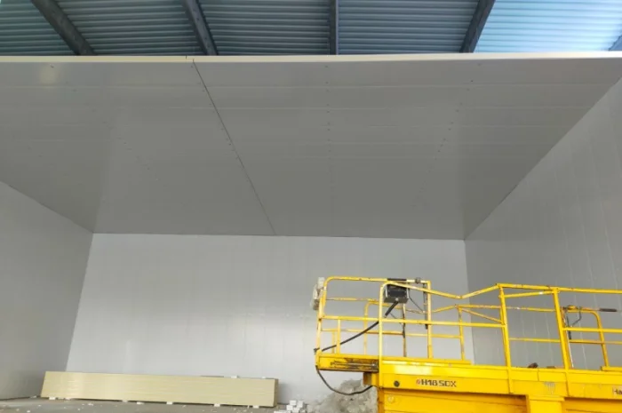 Сендвіч-панелі, фруктосховища, камери РГС, БМЗ, монтаж- фото № 2