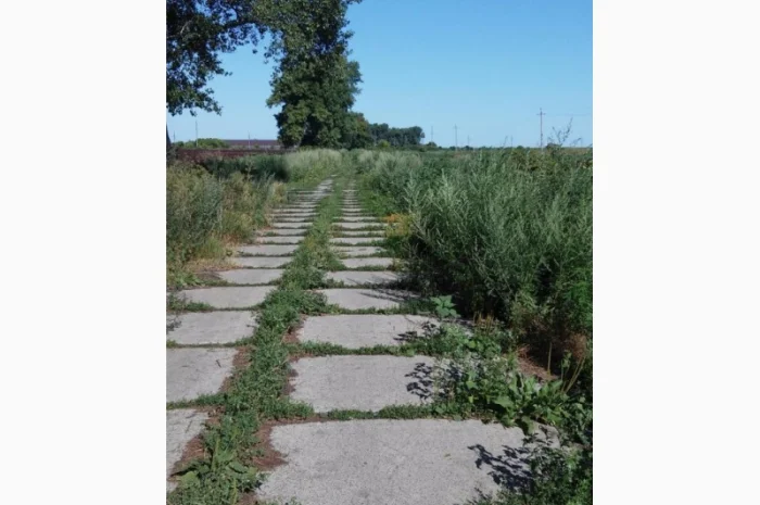 Дорожные ЖБИ плиты разных типов и размеров б/у- фото № 7