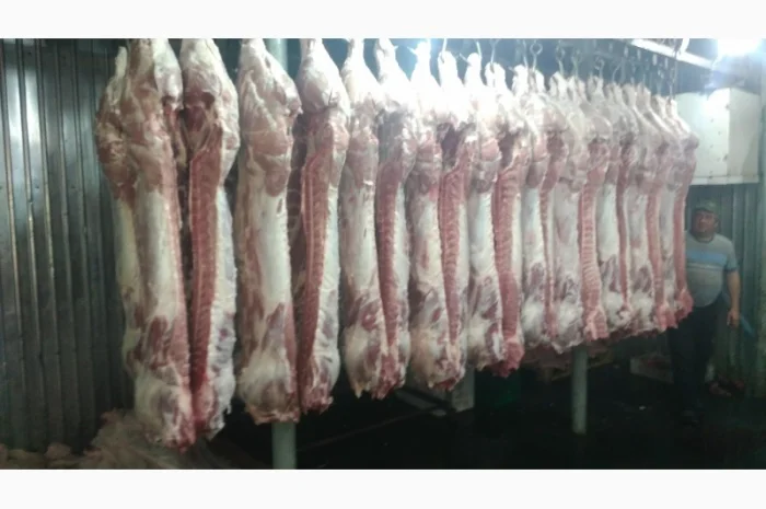 Свежая говядина и свинина в полутушах- фото № 4