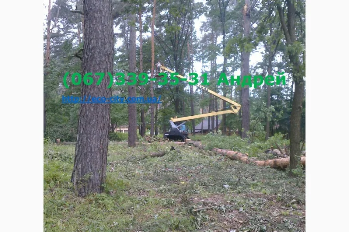 Удаление аварийных деревьев- фото № 1