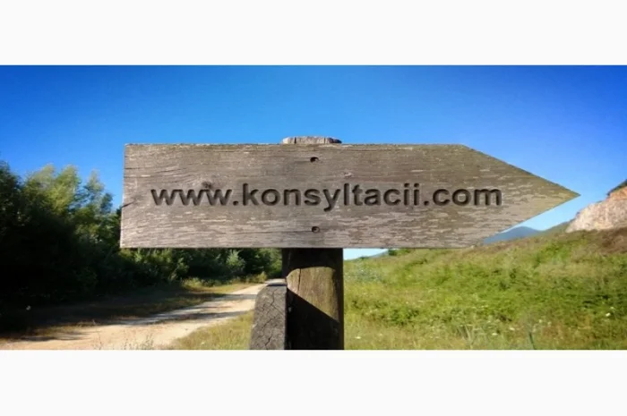 Оператор 1С - профессиональные услуги по управлению товаром- фото № 1