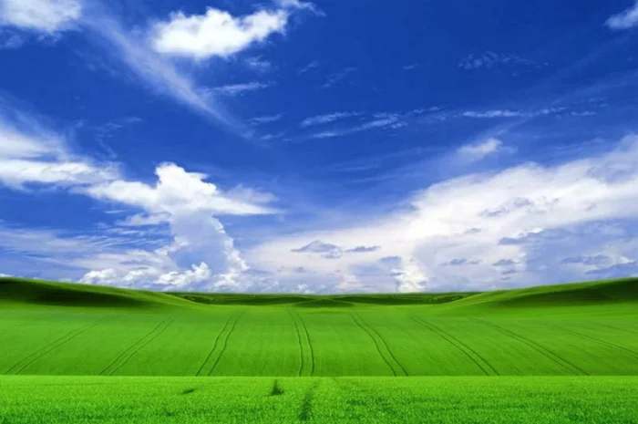 Куплю землю- фото № 1