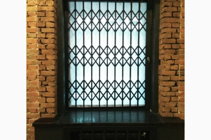 Раздвижные решетки Prof для защиты помещений- фото № 1