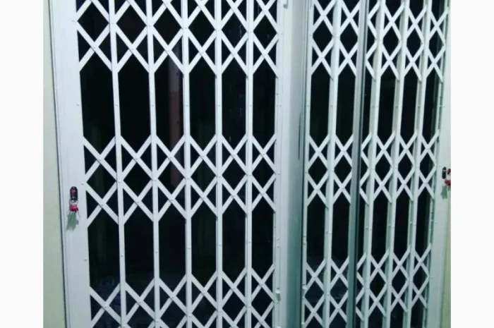 Раздвижные решётки Prof на входную дверь- фото № 1